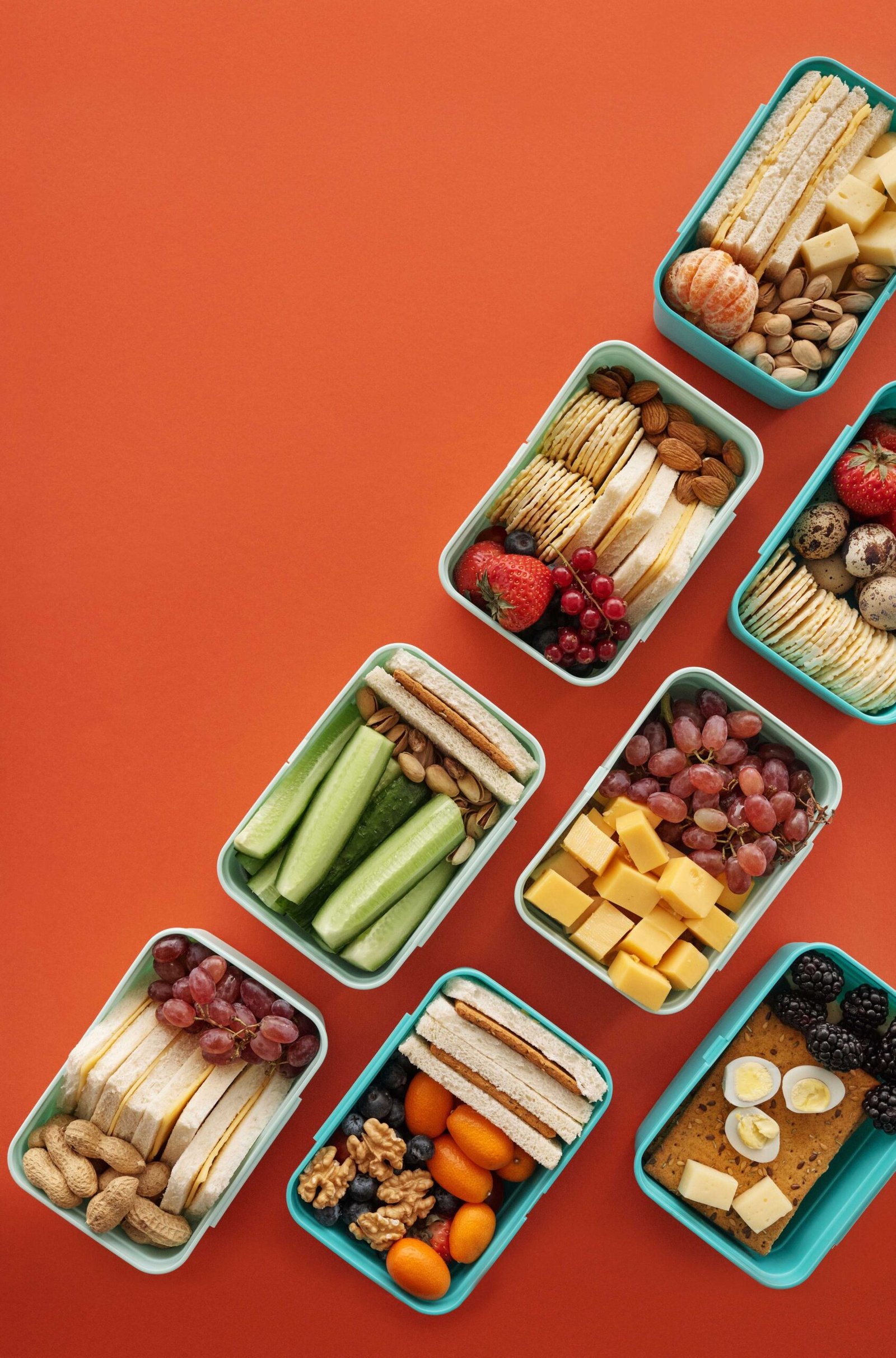 Easy Protein-Rich School Lunchbox Protein-rich school lunchbox with sandwiches, fresh fruit, vegetables, and easy sides
