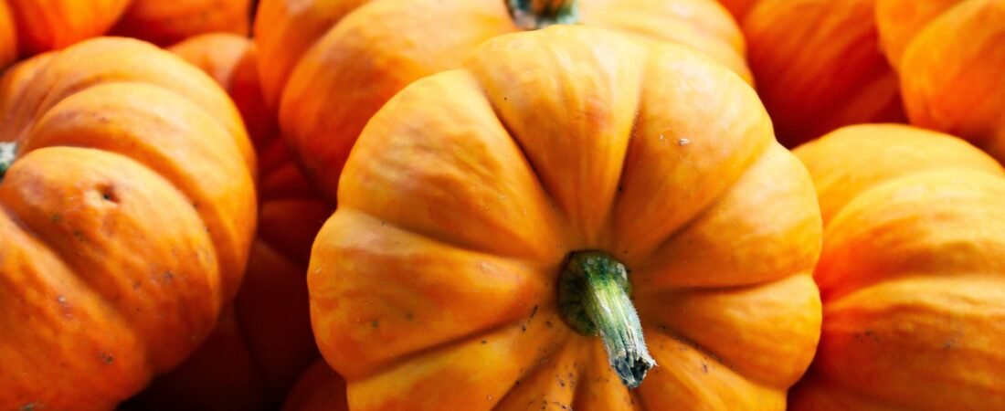 Pumpkin Calories and Nutrition Facts: 100g, 1 Cup, Fresh, Cooked and Canned