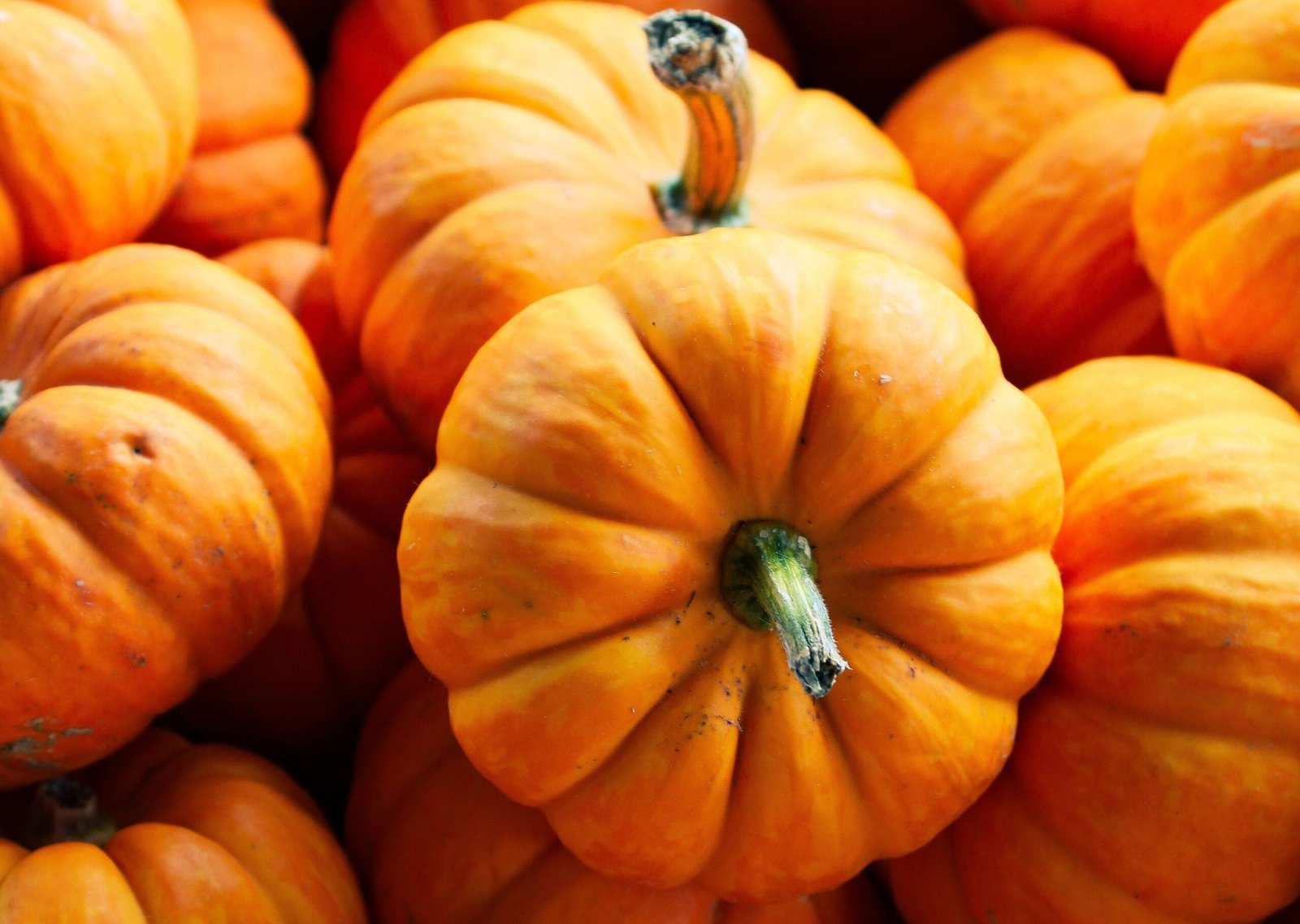 Pumpkin Calories and Nutrition Facts: 100g, 1 Cup, Fresh, Cooked and Canned